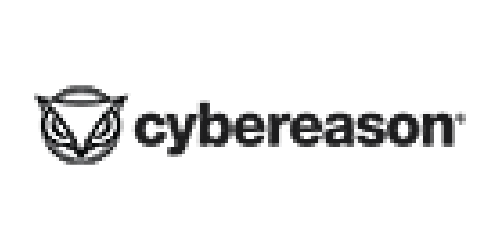 logo 13